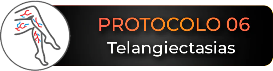 Protocolo-06